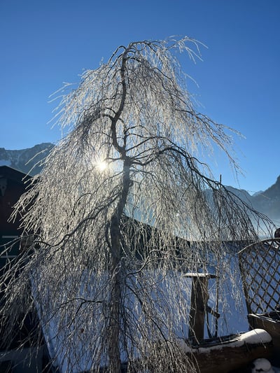 60bd6f13-4c20-4fa2-9dd5-b15787f23f72